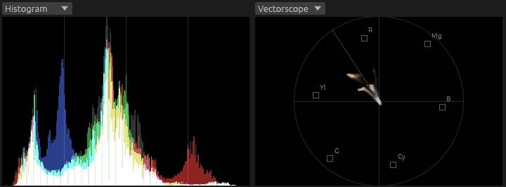 The Color window's histogram and vectorscope of a shot, with the 75% color bar targets and the skin tone line